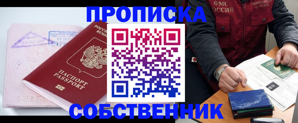 временная регистрация поиск в Щёлково